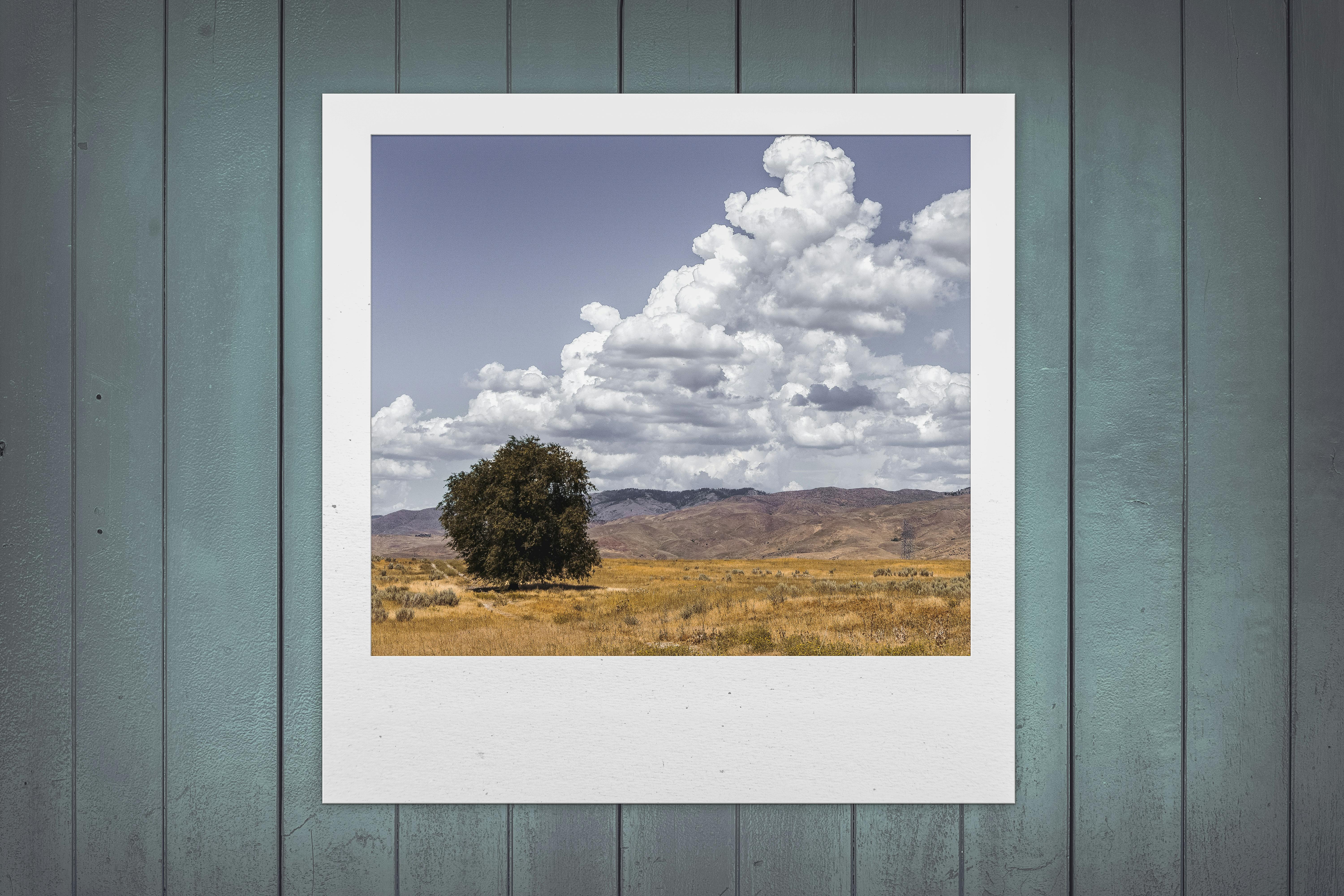 Why You Should Convert JPG to PNG (And When Not To)